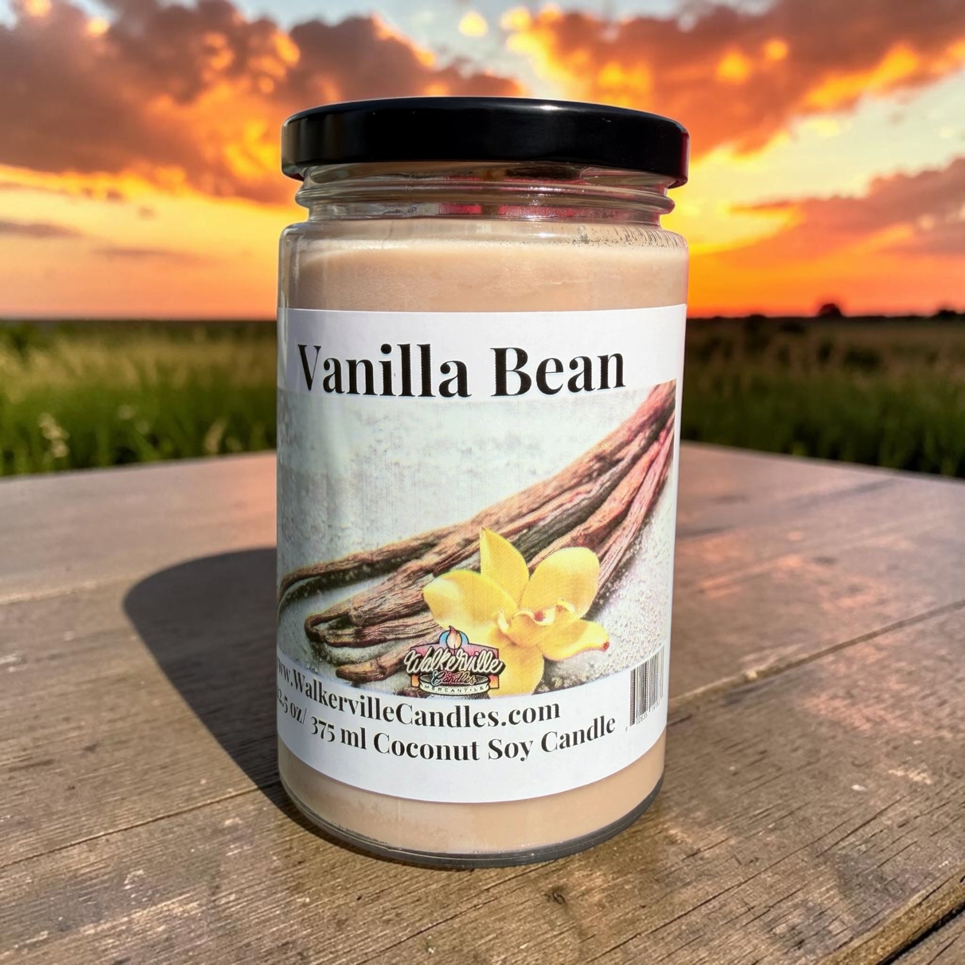 Vanilla Bean Coconut Soy 12.5 oz/ 375 ml Candle Wood Wick - Walkerville Candles