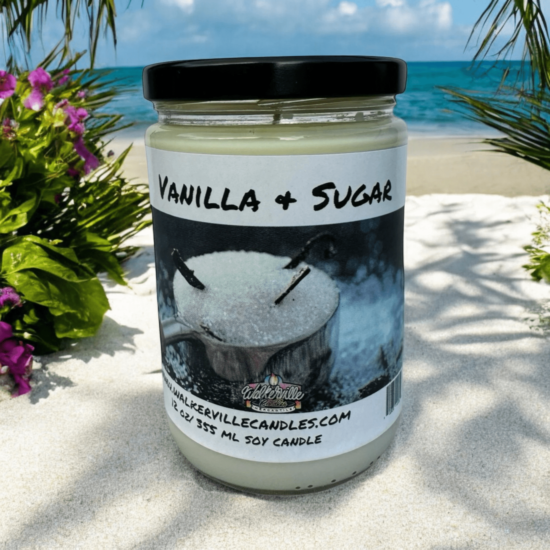 Vanilla & Sugar Coconut Soy 12.5 oz/ 375 ml Candle Wood Wick - Walkerville Candles