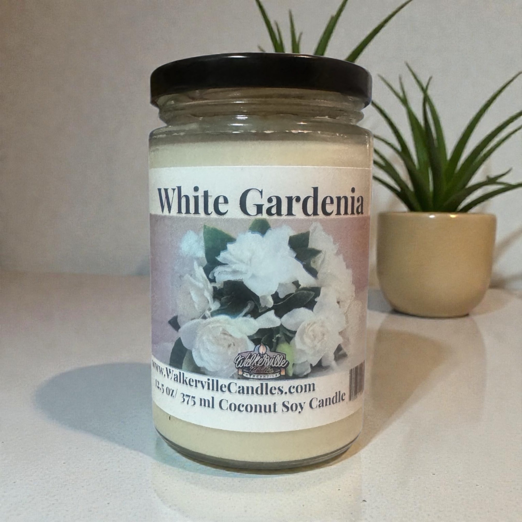 White Gardenia Coconut Soy 12.5 oz/ 375 ml Candle Wood Wick - Walkerville Candles