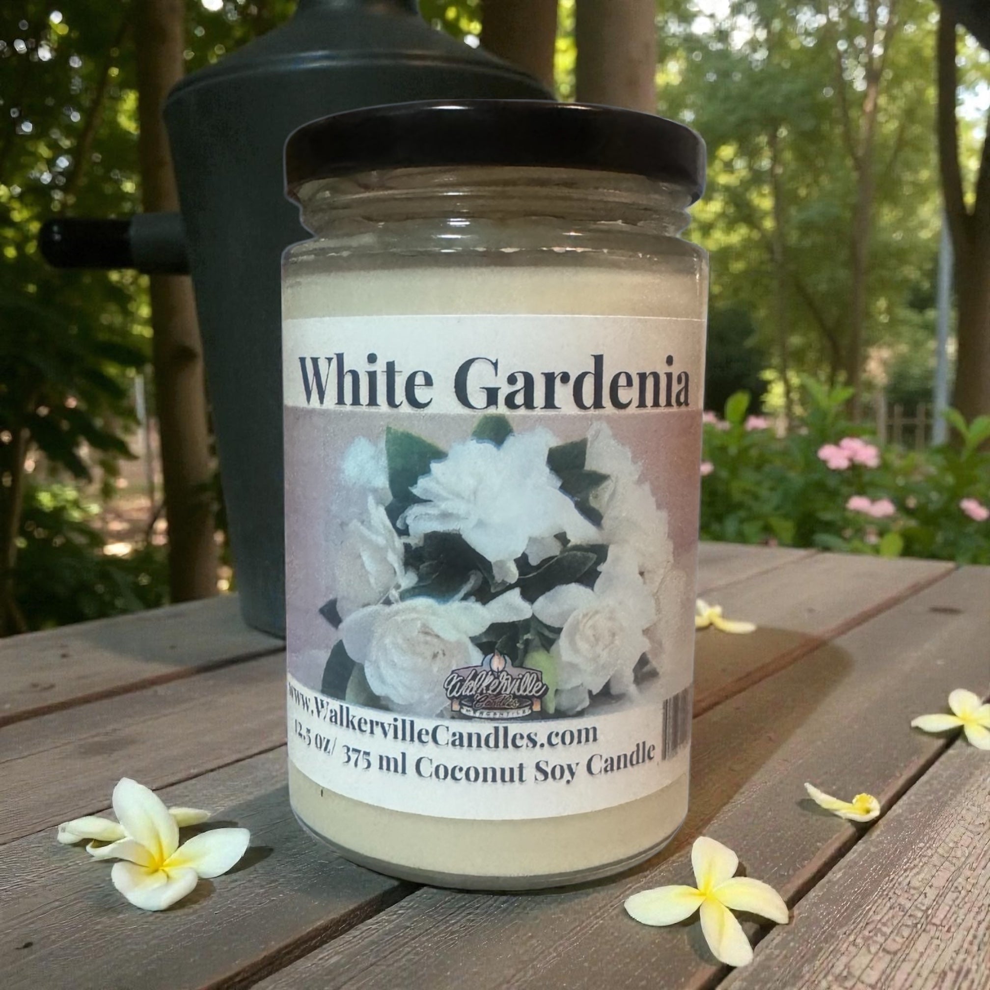 White Gardenia Coconut Soy 12.5 oz/ 375 ml Candle Wood Wick - Walkerville Candles
