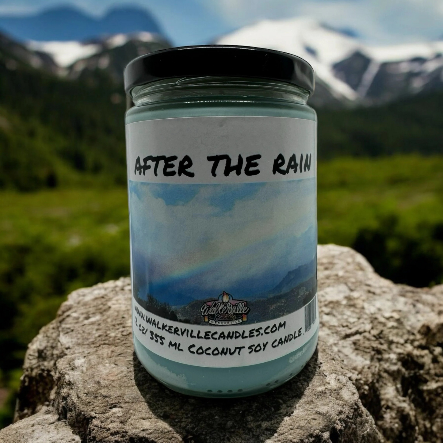 After The Rain 100% Coconut Soy Eco-friendly 12 oz Candle Wood Wick