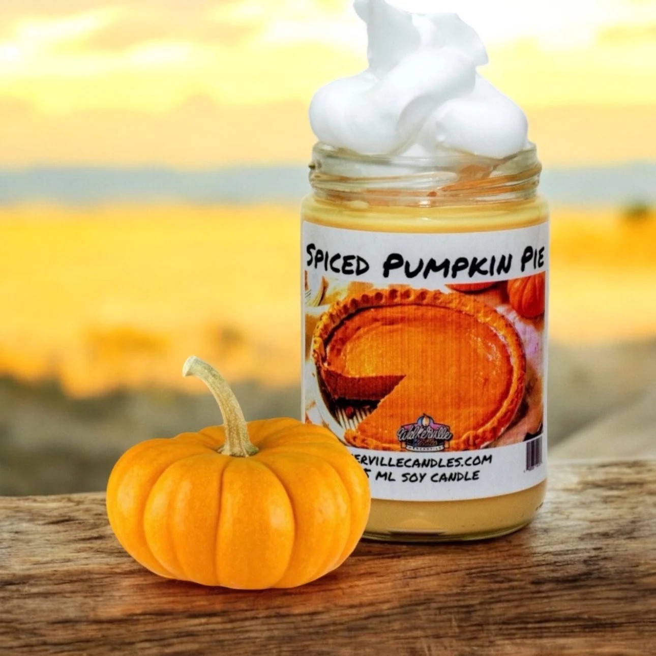 Spiced Pumpkin Pie 100% Coconut Soy Eco-friendly 12 oz Candle Wood Wick